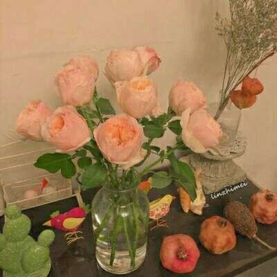 im电竞·(中国)官方网站截图